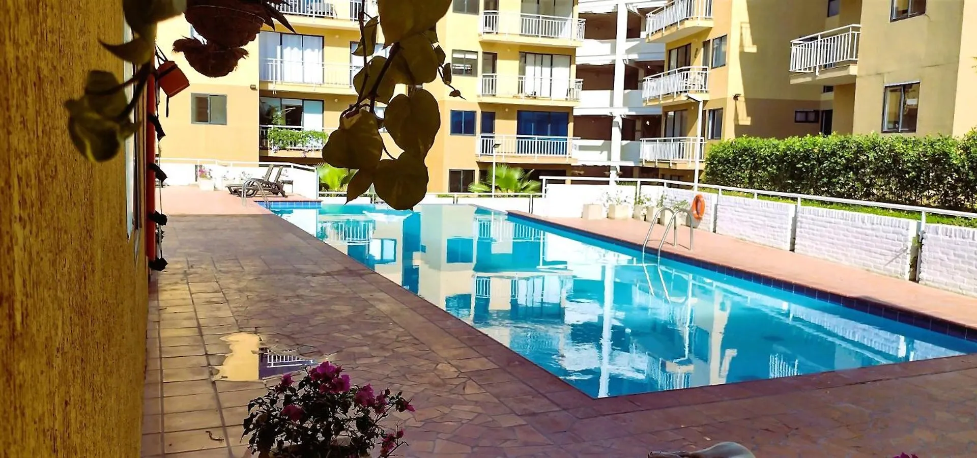 Kontakt z Mi Terruno Nh- Fantastico Apartamento - Piscina, Parqueadero, Santa Marta, Cerca Playa Bello Horizonte